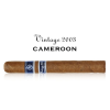 Rocky Patel Vintage 2003 Junior